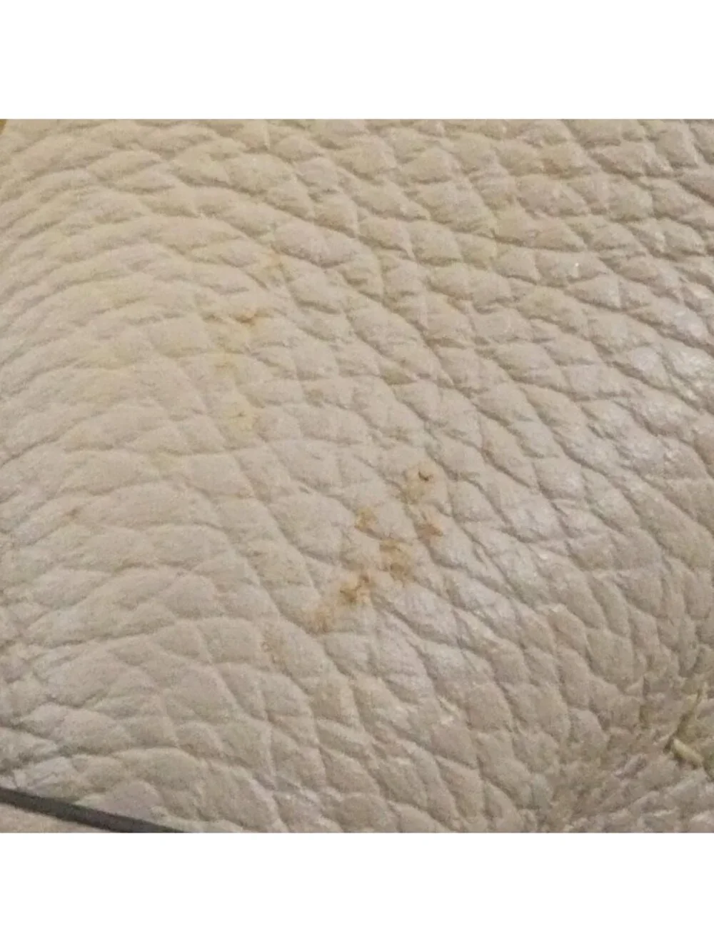 Loewe Gate Small 321 12 Shoulder